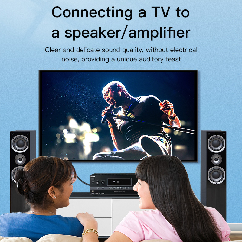 كابل RCA من CHOSEAL، كابل صوت  - مراجعة Home Cinema Player وسعره